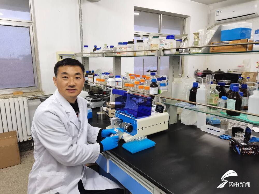 一種保健桑葉茶的制備方法 創(chuàng)新成果驅(qū)動(dòng)健康農(nóng)業(yè)發(fā)展