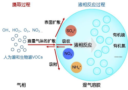 大氣氣溶膠液態(tài)水中二次有機(jī)氣溶膠生成機(jī)制研究進(jìn)展